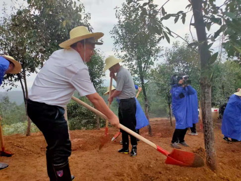 圖片3 圖片3